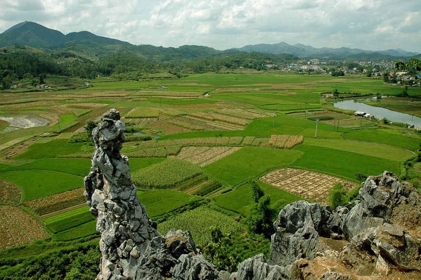 Lạng Sơn: Quy định mới về diện tích tối thiểu được phép tách thửa đối đất nông nghiệp