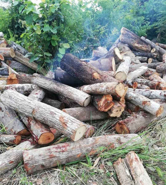Đắk Lắk: Lâm tặc tưới xăng đốt gỗ tang vật, một kiểm lâm viên bị bỏng