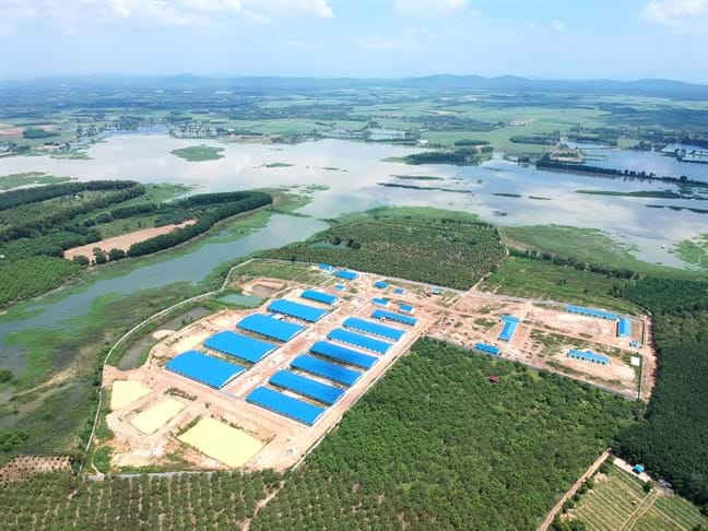 Kiểm tra việc bảo vệ nguồn nước của Hồ Trị An đối với Dự án Trang trại nuôi heo ở tỉnh Đồng Nai