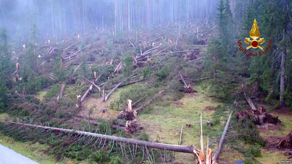 Bão ở Italy cướp đi mạng sống của 17 người và 14 triệu cây