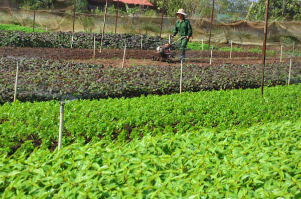 Hòa Bình: Giao dịch đất nông nghiệp gặp khó