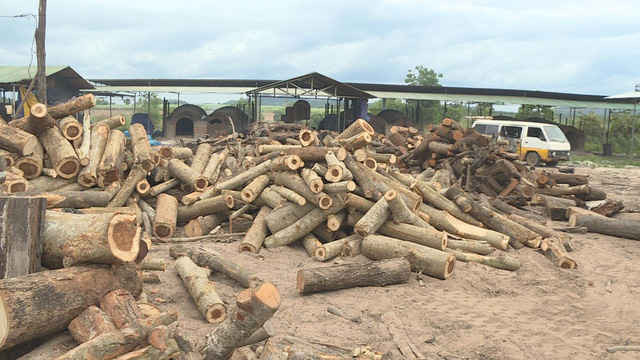 Đắk Lắk: Lò than không phép tập kết lượng gỗ lậu lớn