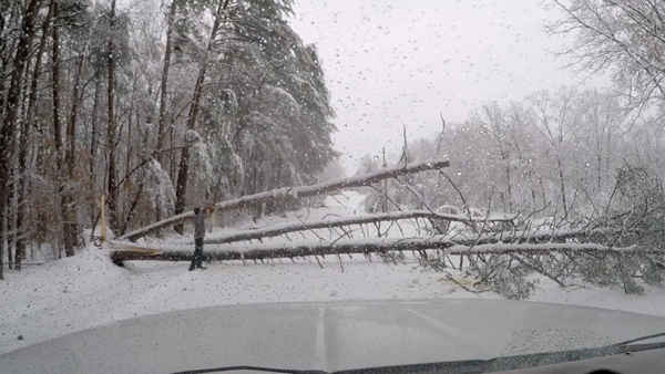 Tuyết rơi dày ở Đông Nam nước Mỹ: 3 người chết, hơn 100 ngàn khách hàng mất điện