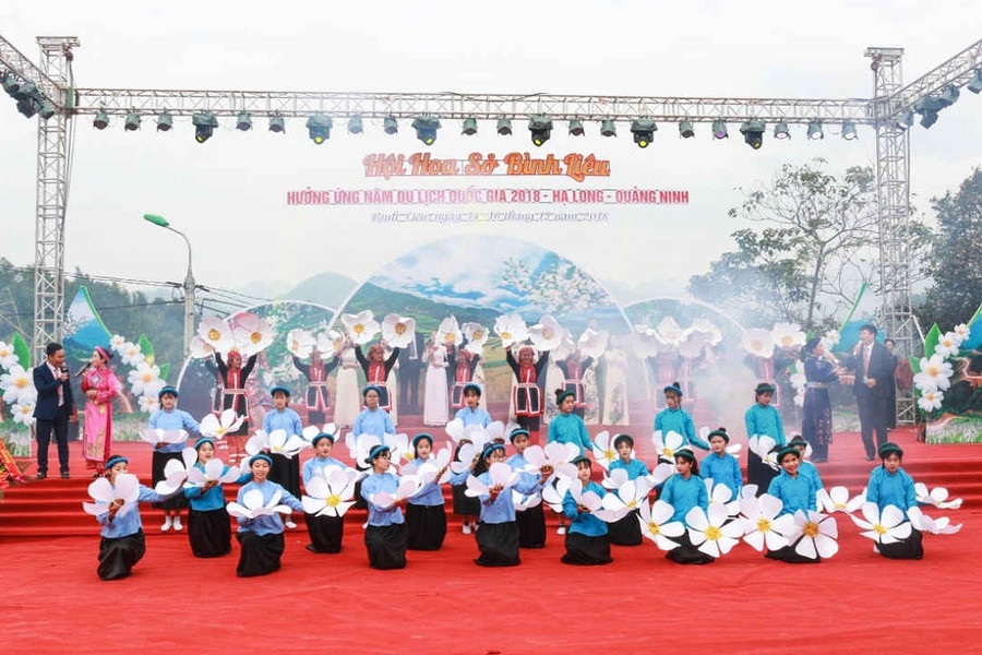 Quảng Ninh: Khai mạc Hội hoa Sở Bình Liêu