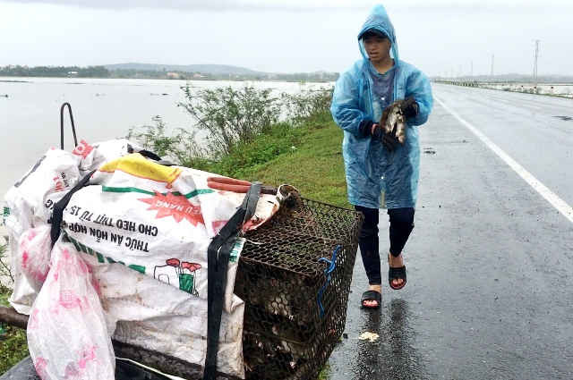 Quảng Ngãi: Mùa săn chuột đồng sau lũ