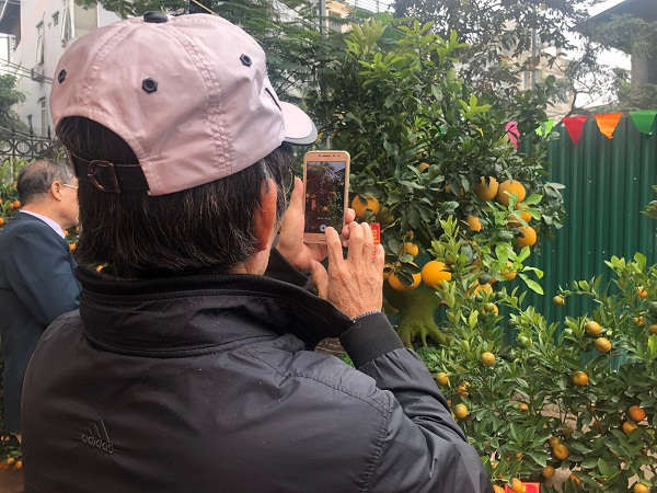 Hà Nội: Đặc sắc hội chợ tinh hoa quất cảnh Tứ Liên 2019