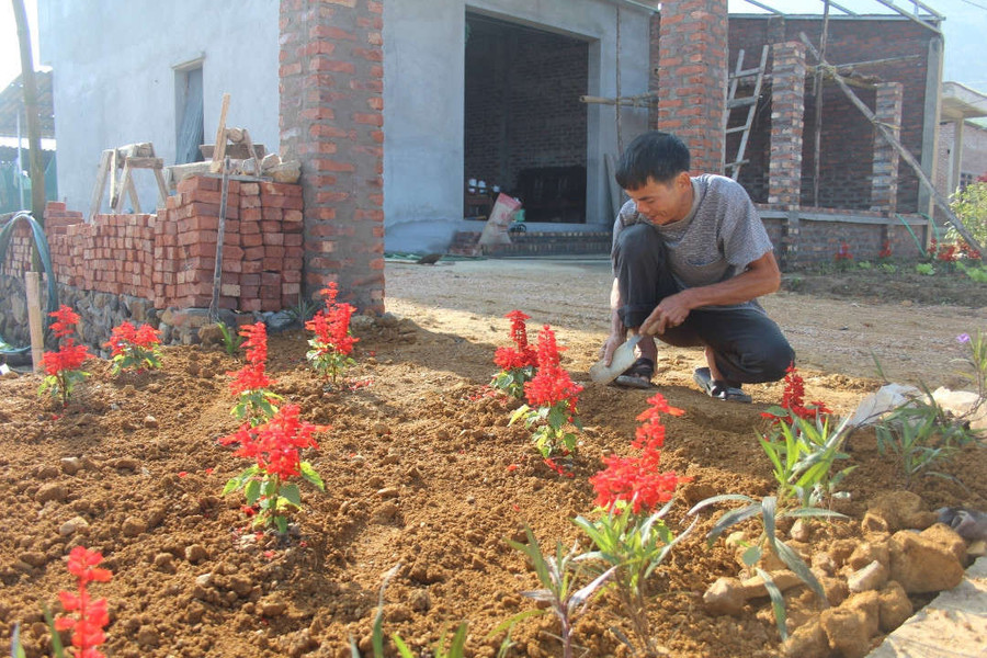 Kim Bôi (Hòa Bình): Sắc xuân trên khu tái định cư Hạ Bì