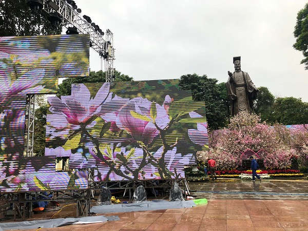 Rực rỡ con đường hoa trước thềm khai mạc Lễ hội hoa anh đào Nhật Bản 2019