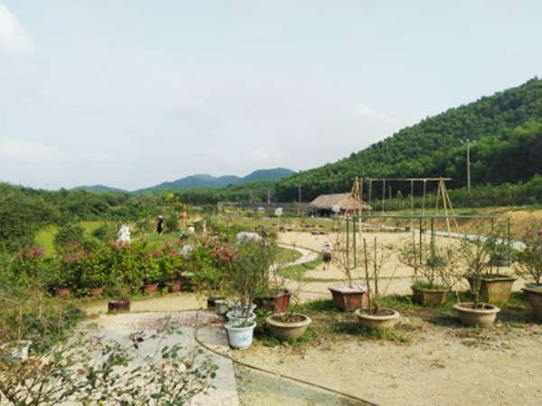 Hà Tĩnh: Đình chỉ dự án KDL sinh thái và trải nghiệm giáo dục Hoa Hồng do sai phạm về đất đai