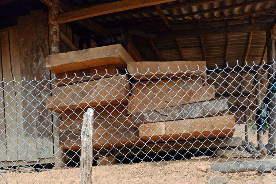 Điện Biên: Thu giữ 82 hộp gỗ sập với khối lượng trên 18m3