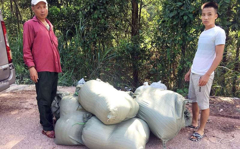 Quảng Ninh: Tiêu hủy 80 nghìn con cá trê giống nhập lậu