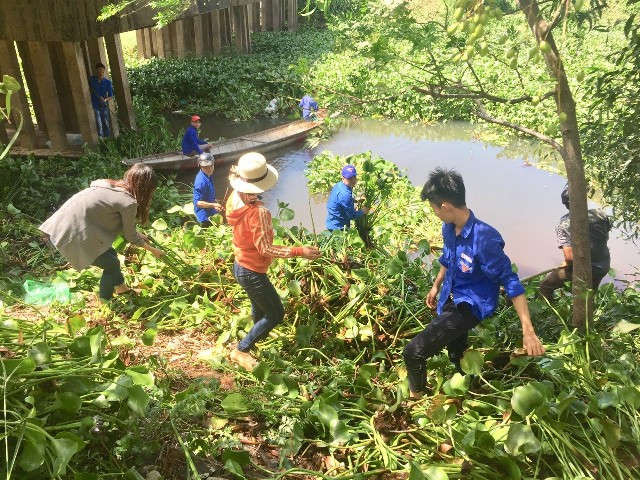 Quảng Trị: Hàng trăm đoàn viên thanh niên dọn dẹp lục bình, rác thải trên sông Vĩnh Định
