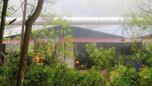 Điện Biên: Nhà máy than cốc gây ô nhiễm môi trường “bủa vây” khu dân cư