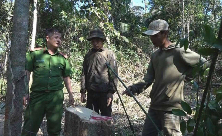 Bắt quả tang nhóm người ngang nhiên chặt hạ gỗ rừng ở Đắk Lắk