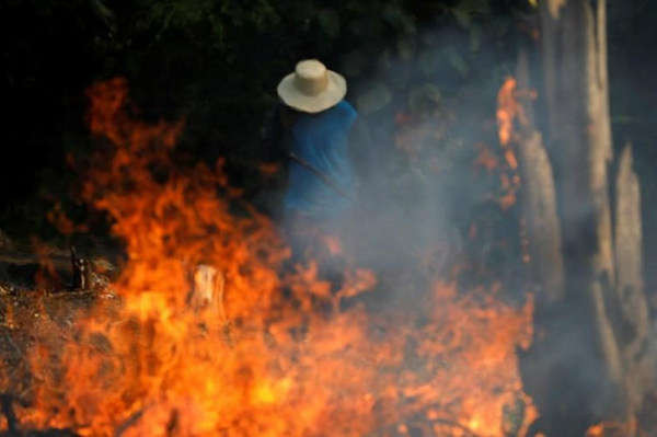 Cháy rừng ở Amazon: Brazil đạt con số cao kỷ lục về cháy rừng