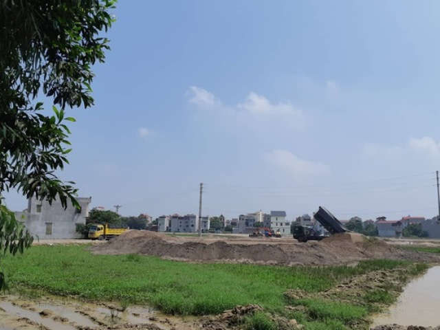 Vụ đấu giá 205 lô đất ở Bắc Ninh: Giám đốc Công ty 368 nói gì?