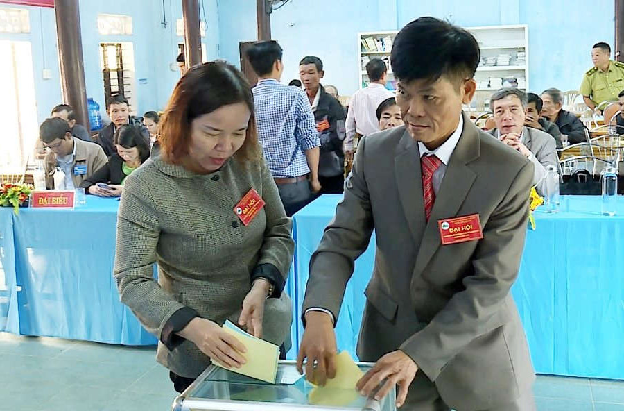 Thừa Thiên - Huế: Thành lập HTX lâm nghiệp bền vững Hương Vân