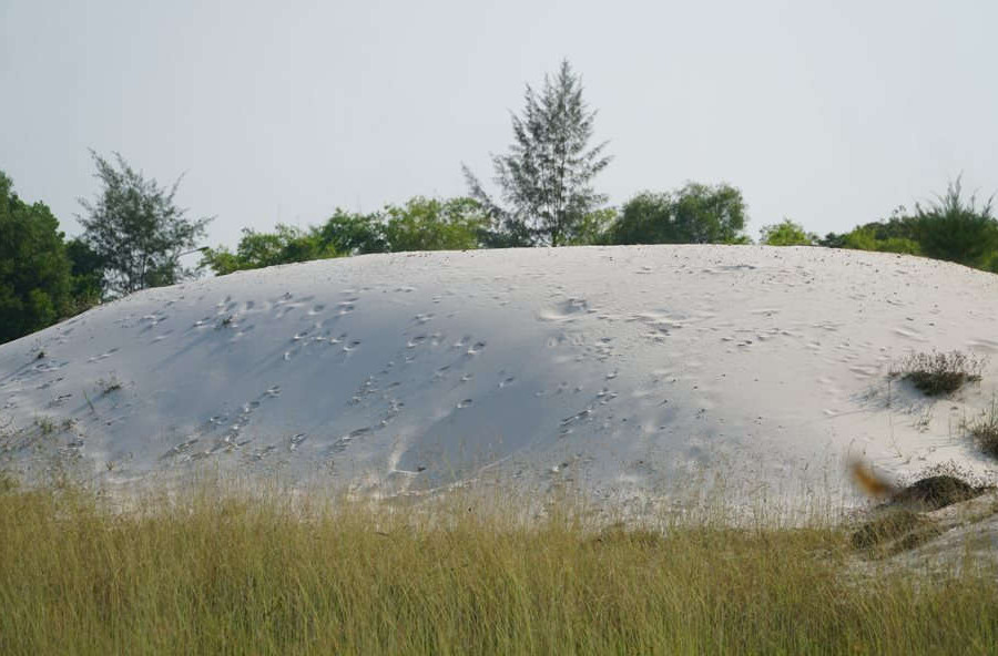 Quảng Nam: Hô biến gần 900.000m3 cát trằng thành “cát san nền”