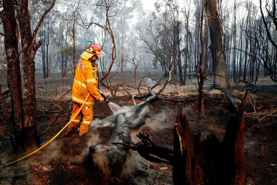 Mối liên quan giữa biến đổi khí hậu và cháy rừng