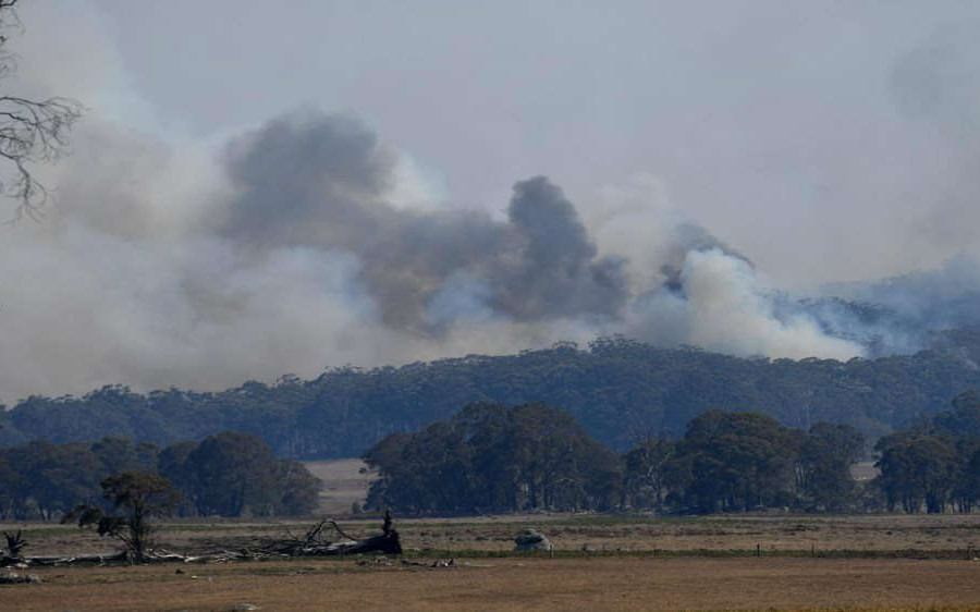 Cháy rừng “thảm khốc” ở Úc, do đâu?