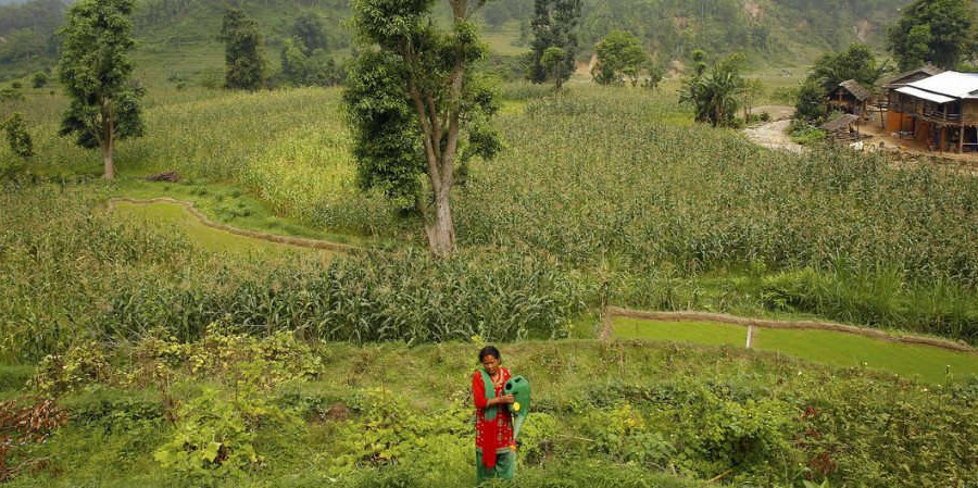 Hơn 39 triệu USD được phê duyệt cho quỹ hỗ trợ chống BĐKH ở Nepal của LHQ