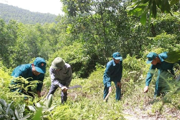 TX. Kinh Môn: Chủ động phòng chống cháy rừng