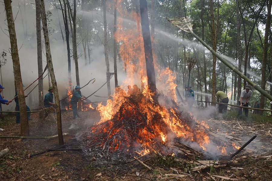 Yên Bình (Yên Bái): Diễn tập phòng chống cháy rừng