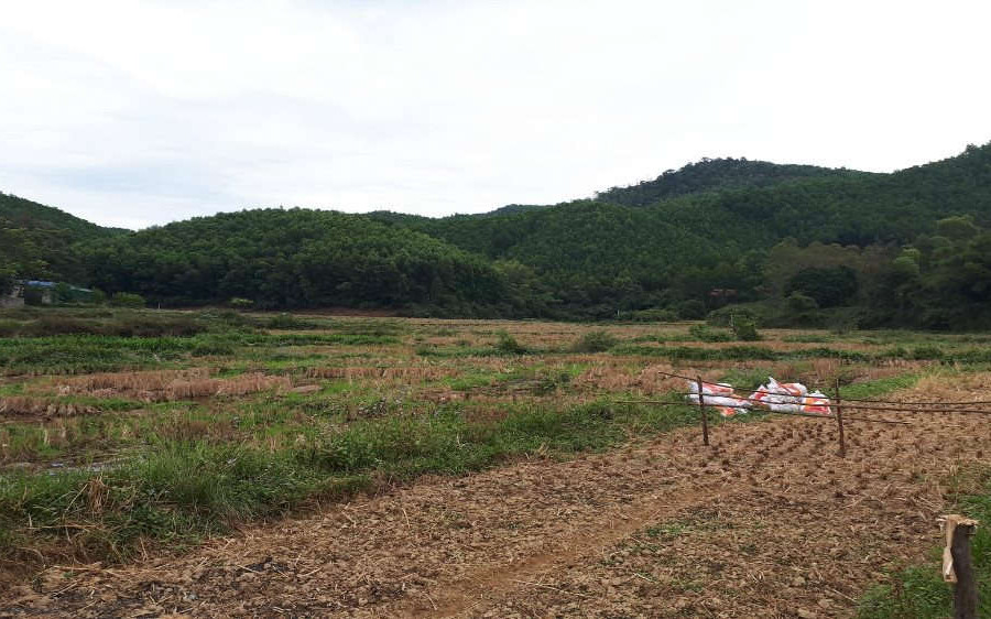 Dự án Khu du lịch sinh thái văn hóa Đá Thiên: Thu mua đất lúa trái pháp luật?