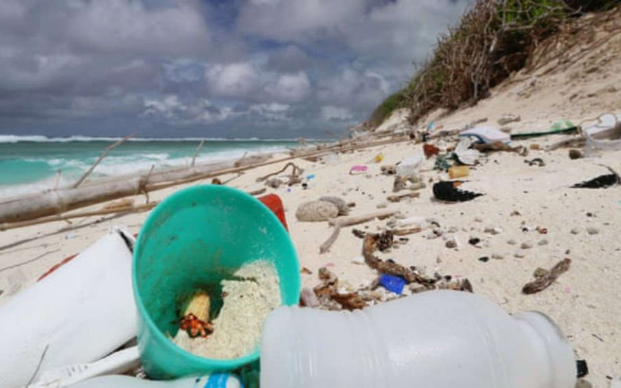 Ô nhiễm nhựa giết chết hơn 500 con cua ẩn sĩ trên các hòn đảo xa xôi