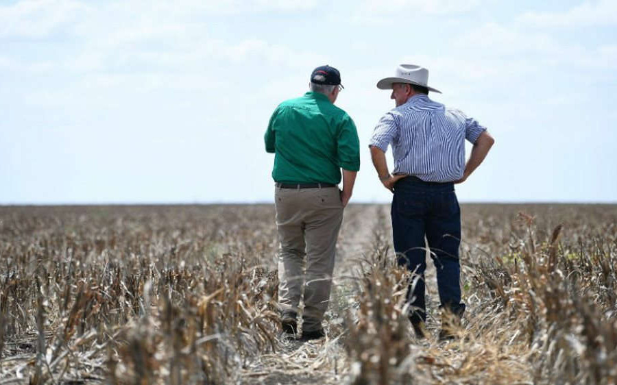 Australia: BĐKH làm giảm 22% lợi nhuận từ trang trại hàng năm