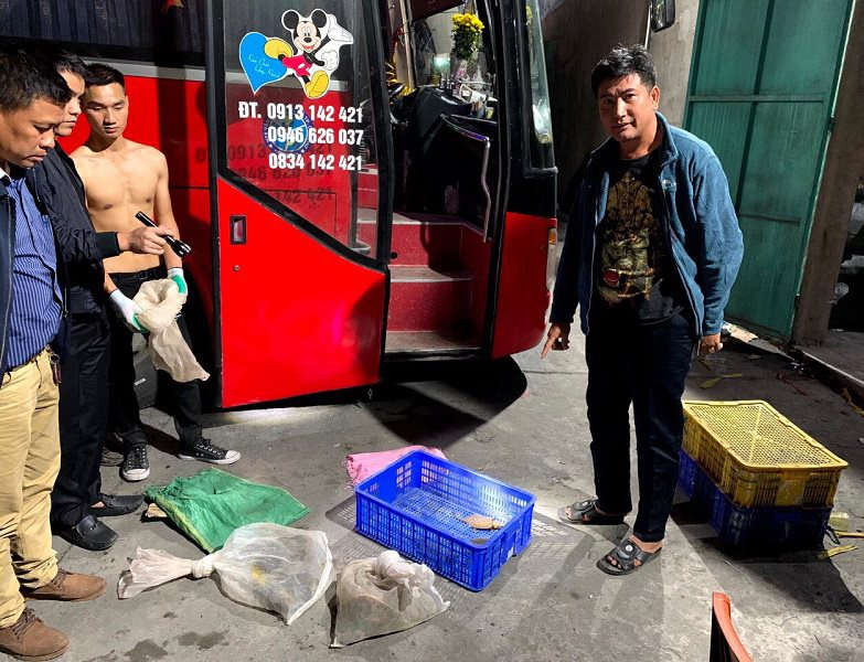 Quảng Ninh: Liên tiếp bắt giữ nhiều vụ vận chuyển rùa trái phép