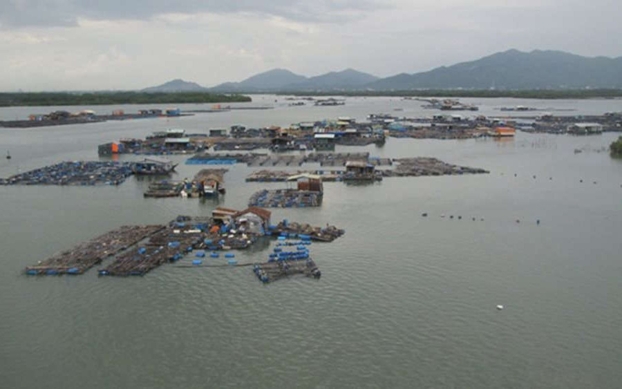 Bà Rịa – Vũng Tàu: Đẩy mạnh di dời cơ sở nuôi trồng thủy sản vào vùng quy hoạch