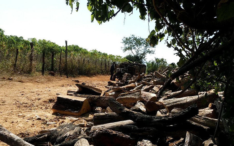 Phát hiện 6m3 gỗ bị vứt ven đường làng