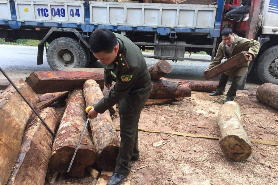 Quảng Uyên (Cao Bằng): Phát hiện, bắt giữ hơn 7m3 gỗ lậu