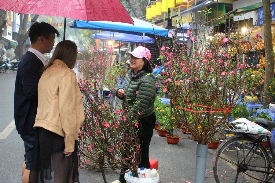 Không khí nhộn nhịp tại chợ hoa Tết Hà Nội