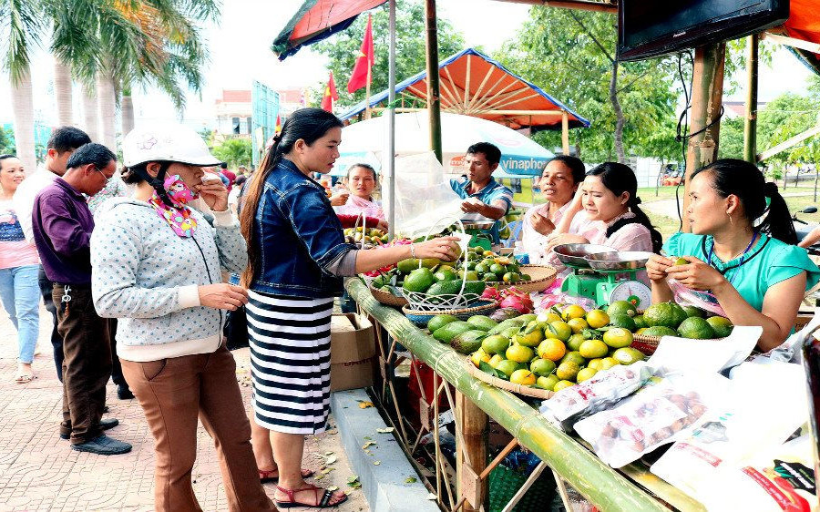 Tỉnh Gia Lai quy hoạch vùng sản xuất trái cây chất lượng cao