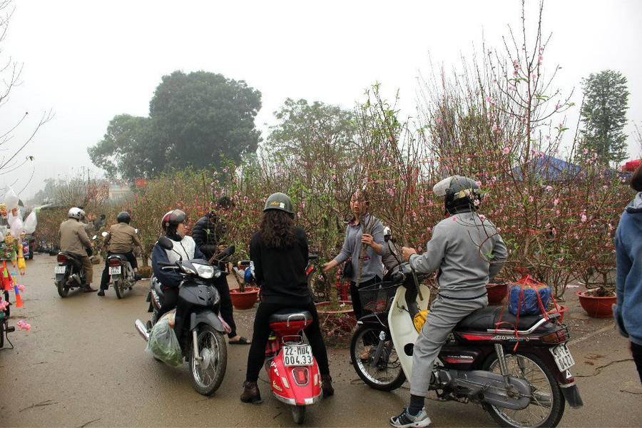 Nhộn nhịp chợ hoa, cây cảnh Tết ở Thái Nguyên