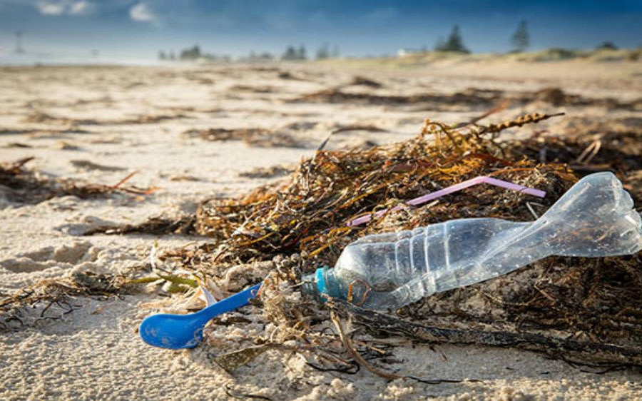 Rác thải nhựa đại dương đang gây ô nhiễm các bãi biển ở Australia
