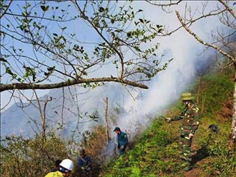 Lào Cai: Thiệt hại nhiều ha do cháy rừng