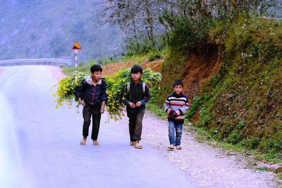 Hà Giang: Xanh mãi trên cung đường mang tên Hạnh Phúc