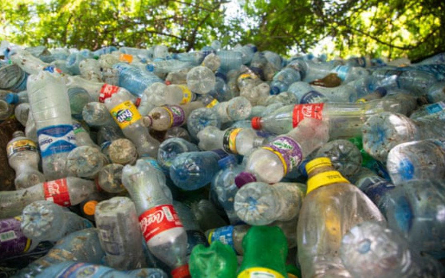 Nhựa xả ra từ sản phẩm của các hãng đồ uống lớn có thể bao phủ 83 sân bóng đá mỗi ngày