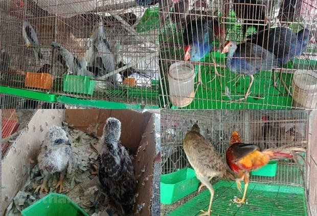Người dân Việt Nam ủng hộ việc đóng cửa thị trường buôn bán động vật hoang dã