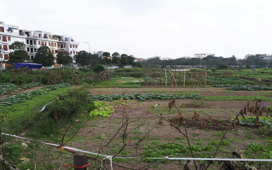 Quận Long Biên “núp bóng” dự án công để thu hồi gần 4 ha “đất vàng” như thế nào?