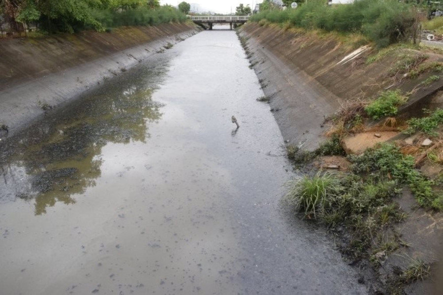 Đà Nẵng: Chất lượng nước kênh ô nhiễm nghi do dầu thải có nhiều thông số vượt chuẩn