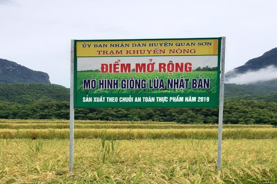 Ứng dụng KHKT vào sản xuất nông nghiệp ở Thanh Hóa: Cần liên kết chặt chẽ hơn giữa “4 nhà”