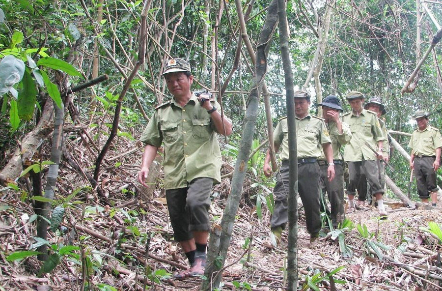 Thừa Thiên Huế: Dai dẳng nạn khai thác, vận chuyển gỗ rừng trái phép 