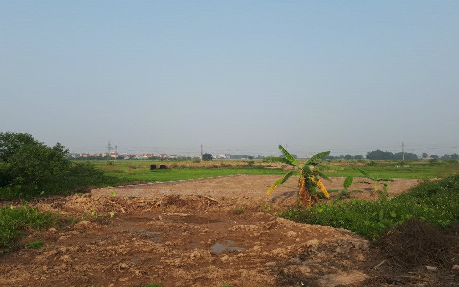 Để xảy ra sai phạm đất đai: “Quan” phường ở Bắc Ninh bị đề nghị cách chức