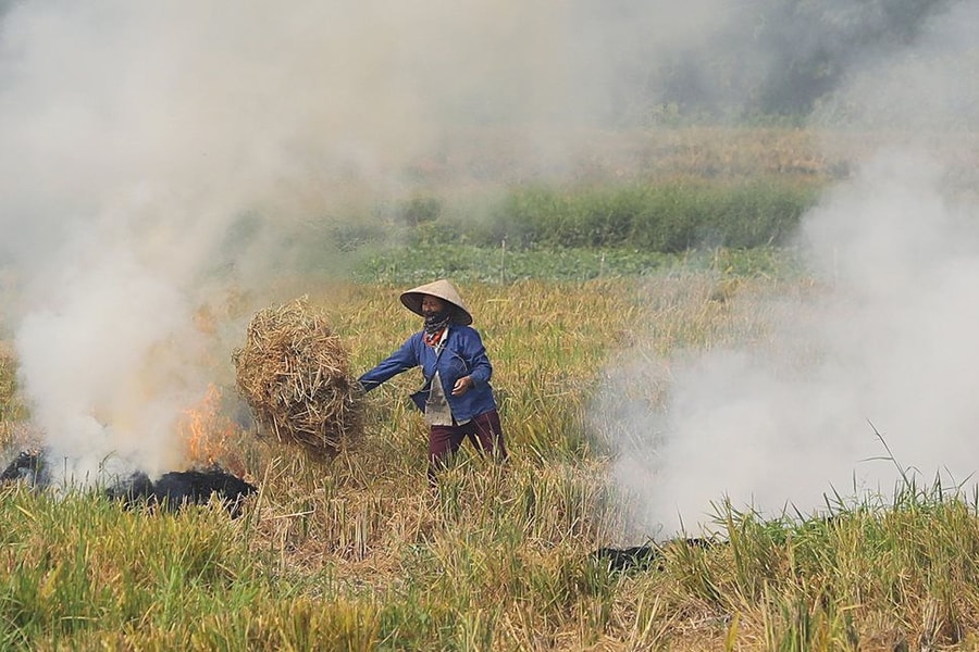 Hà Nội bắt đầu kiểm tra tình trạng đốt rơm rạ gây ô nhiễm không khí