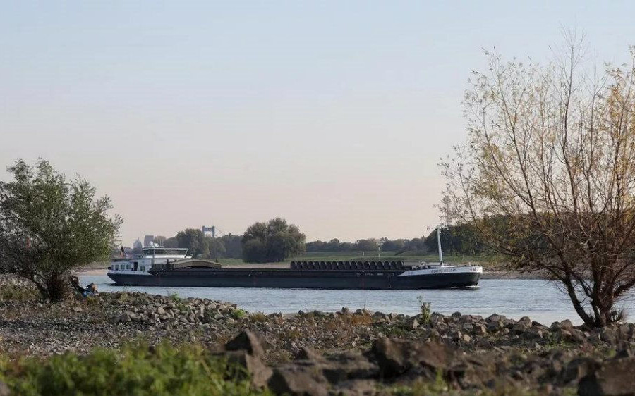 Đức: Nước sông Rhine tăng, nhưng vẫn quá cạn ở phía Bắc cho tàu chở đầy hàng hóa