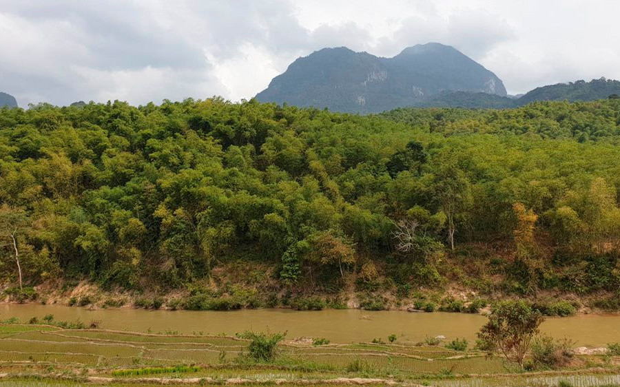 Quảng Trị: Phê duyệt công trình khoán bảo vệ rừng năm 2020